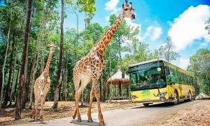 Vinpearl Safari Phú Quốc vào top đầu vườn thú và thủy cung châu Á