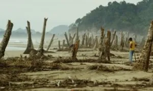 Nỗi đau ám ảnh người Indonesia 20 năm sau thảm họa sóng thần Nỗi đau ám ảnh người Indonesia 20 năm sau thảm họa sóng thần