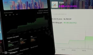 Cổ phiếu Yeah1 nằm sàn, TDH tăng trần 6 phiên liên tiếp