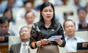 Đại biểu Quốc hội: Lạm dụng đóng dấu mật gây lãng phí trong quản trị công